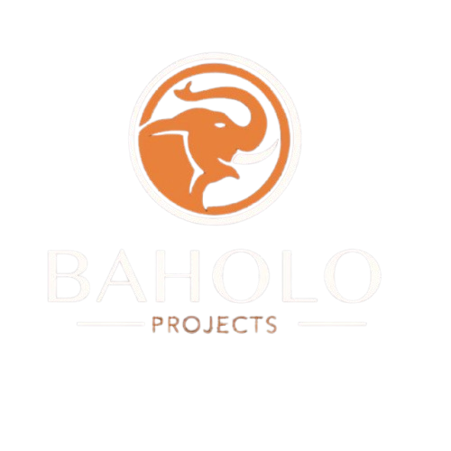 Baholo Projects